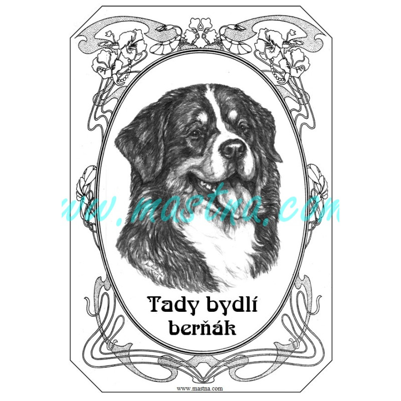 Cedulka bernský salašnický pes secesní