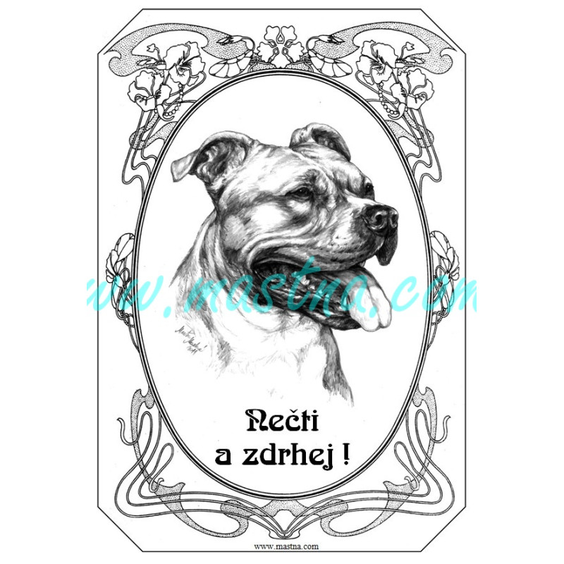 Cedulka staford, americký stafordšírský teriér hlava