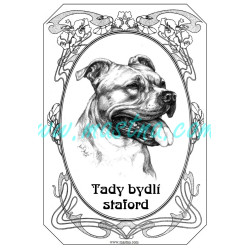 Cedulka staford, americký stafordšírský teriér hlava