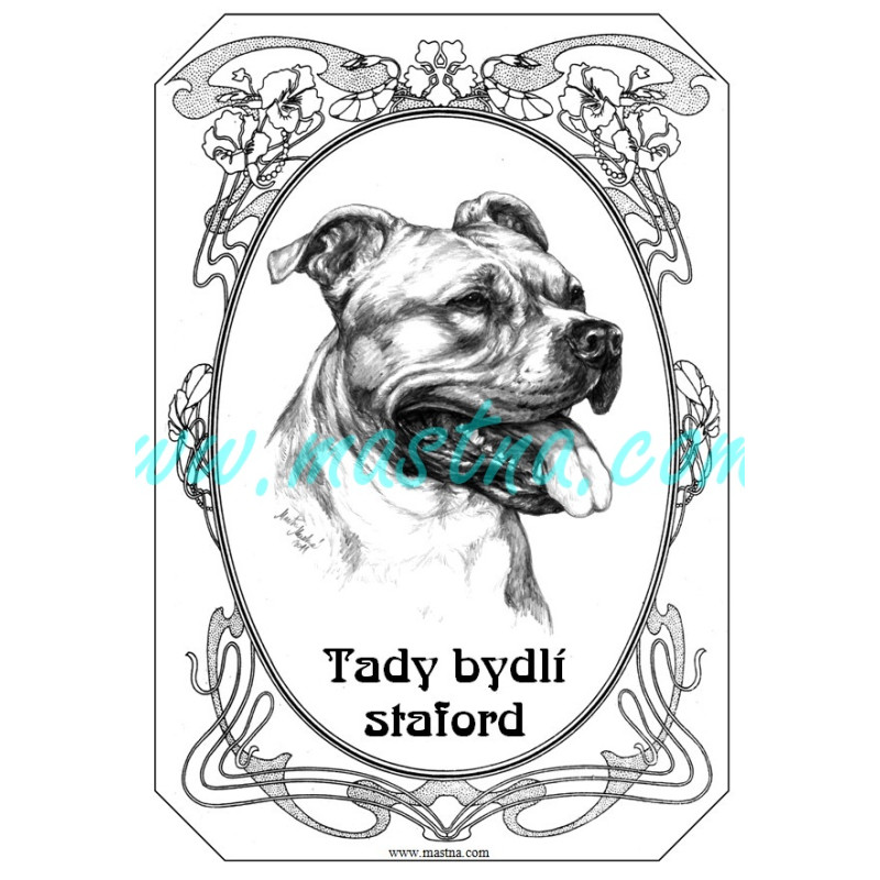 Cedulka staford, americký stafordšírský teriér hlava