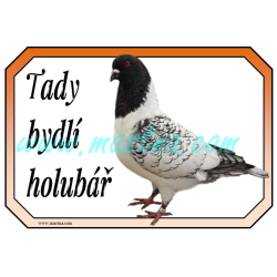 Holub moravský pštros černý šupkatý, cedulka