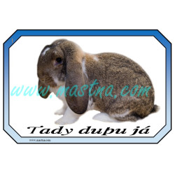 Francouzský beran strakáč divoký, cedulka