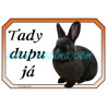 Králík vídeňský černý, cedulka