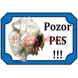 Cedulka soft coated wheaten teriér, pšeničný teriér hlava 2