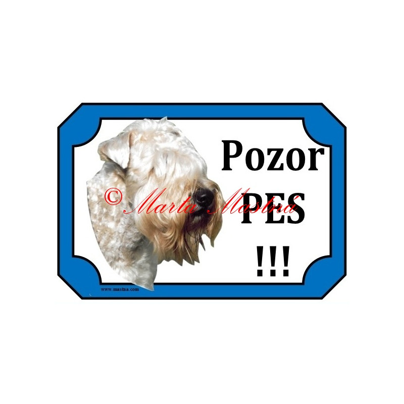 Cedulka soft coated wheaten teriér, pšeničný teriér hlava 2