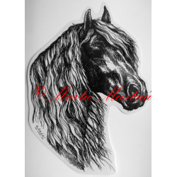 Samolepka frís, kůň, koně c241