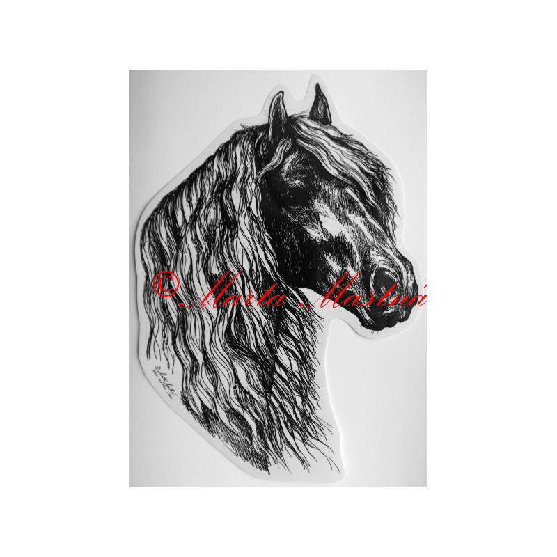 Samolepka frís, kůň, koně c241