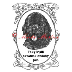 Tabulka novofundlandský pes