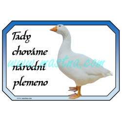 Cedulka husa česká, národní plemeno