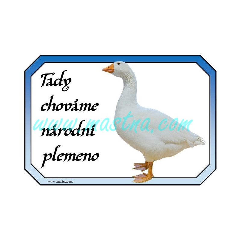 Cedulka husa česká, národní plemeno