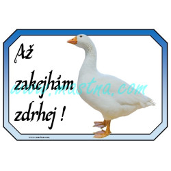 Cedulka husa česká, zakejhám