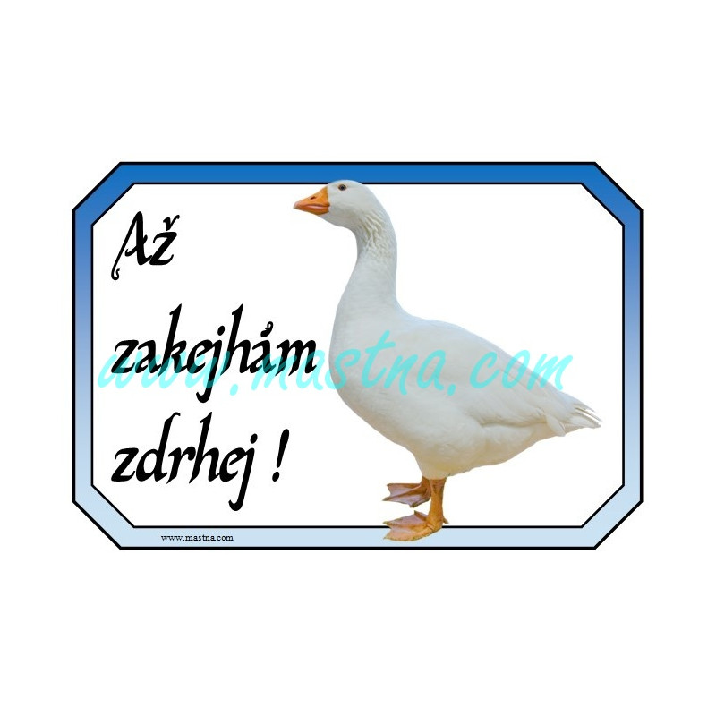 Cedulka husa česká, zakejhám