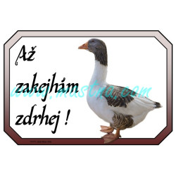 Cedulka husa pomořanská, zakejhám