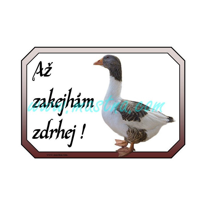 Cedulka husa pomořanská, zakejhám