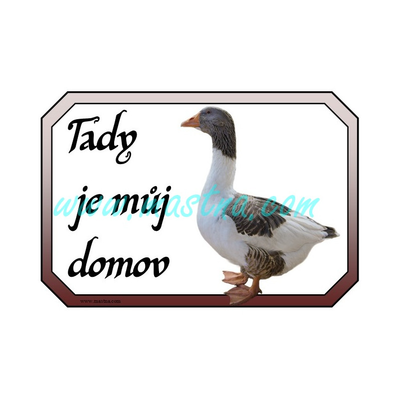 Cedulka husa pomořanská, domov