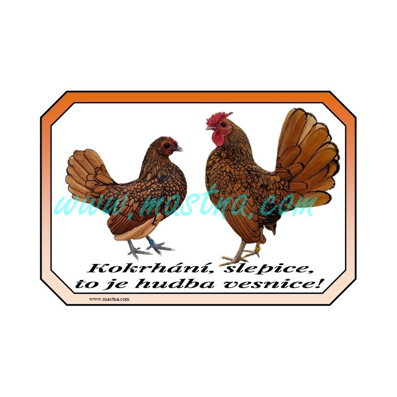 Cedulka sebritka zlatá, drůbež, vesnice