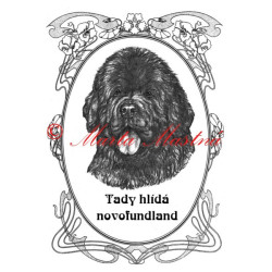 Tabulka novofundlandský pes