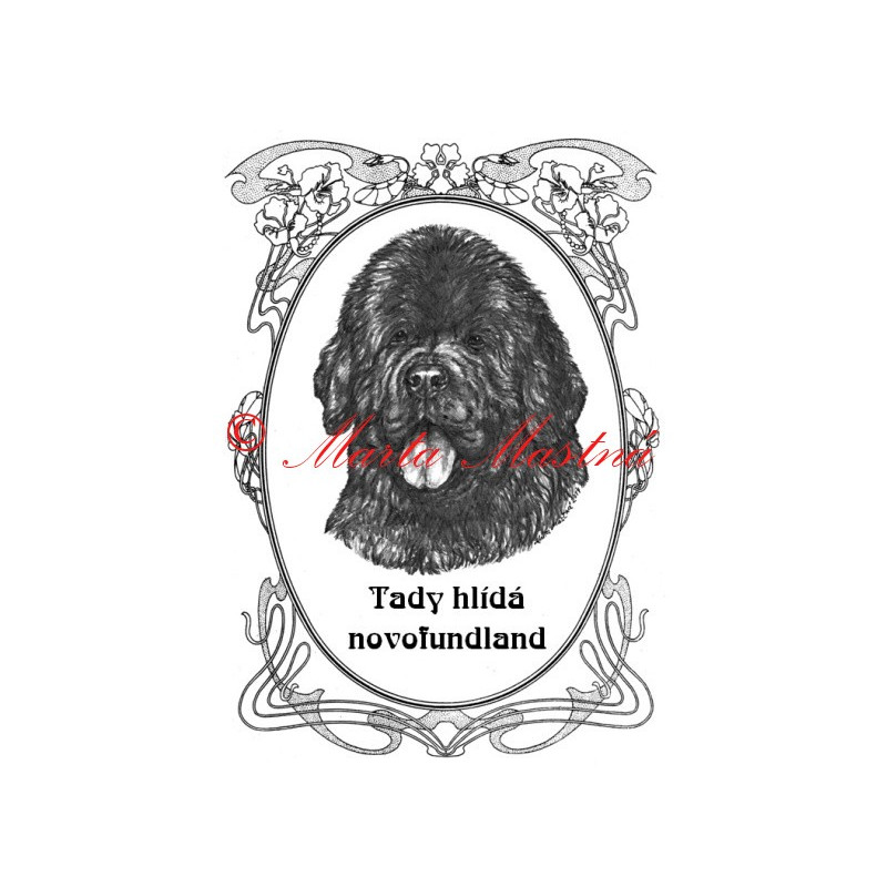 Tabulka novofundlandský pes
