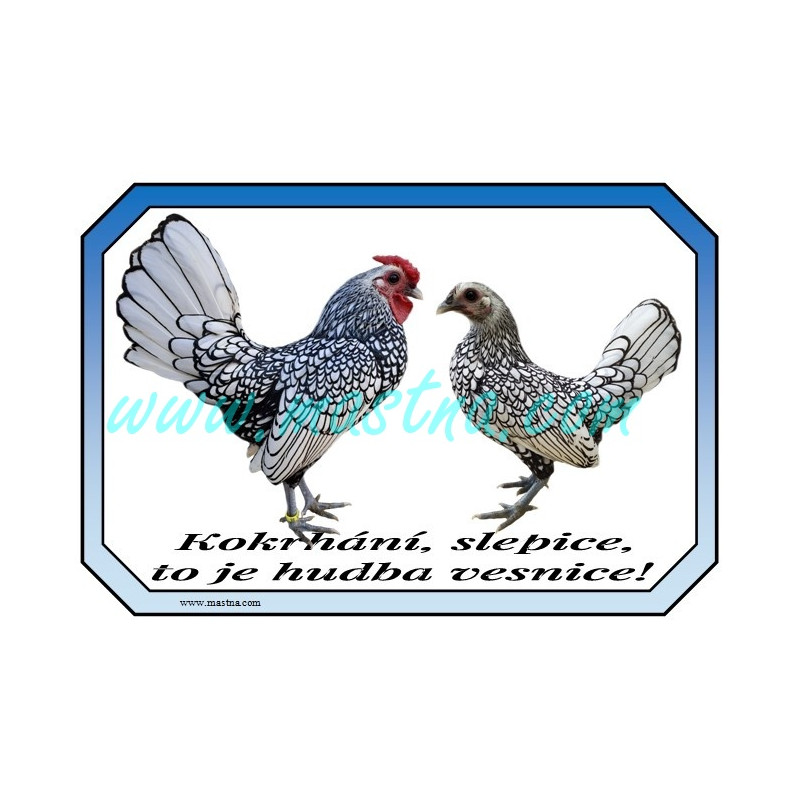 Cedulka sebritka stříbrná, drůbež, bydlíme