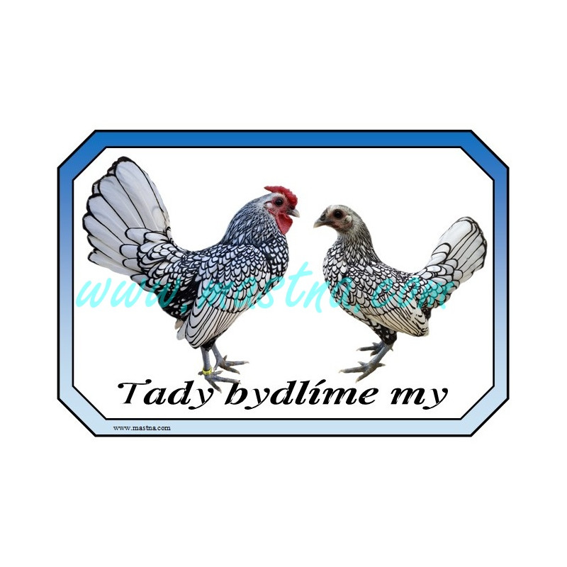 Cedulka sebritka stříbrná, drůbež, bydlíme