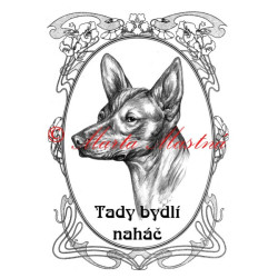 Tabulka peruánský naháč