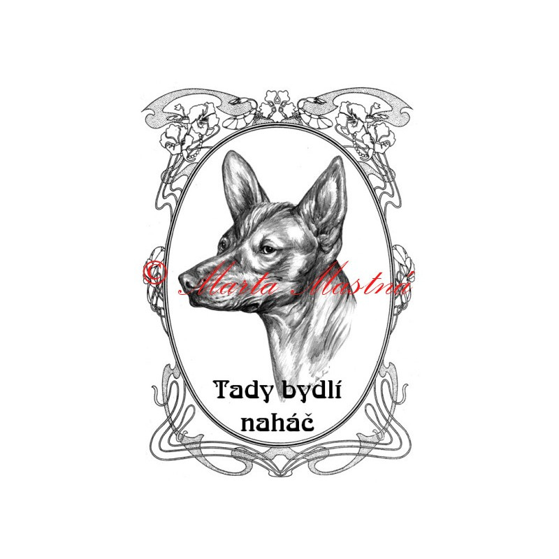 Tabulka peruánský naháč