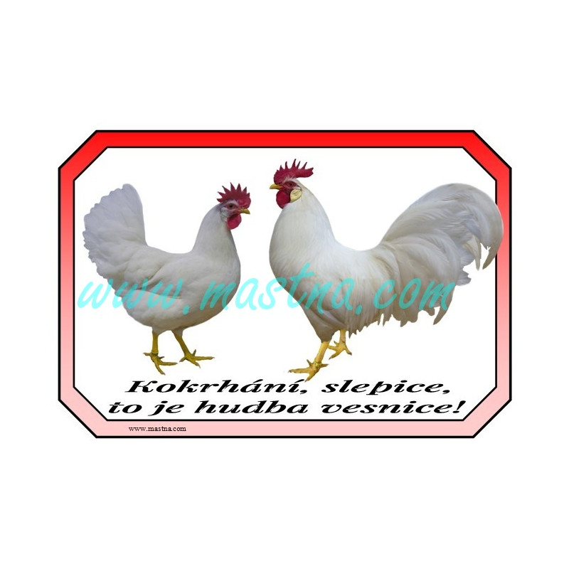 Leghornka, cedulka drůbež vesnice