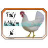 Leghornka slepice, cedulka drůbež kdákám