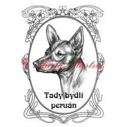 Tabulka peruánský naháč