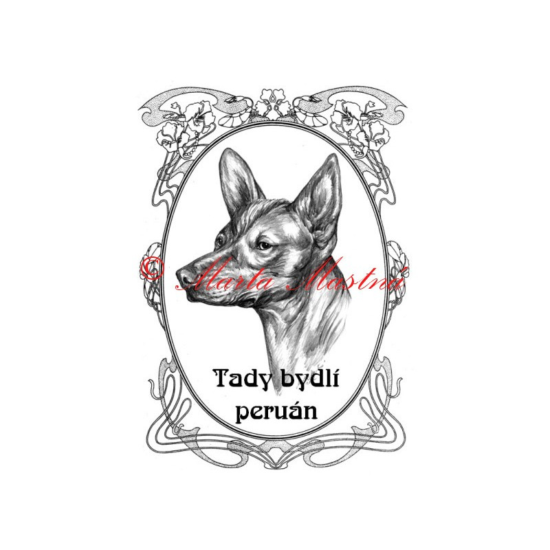 Tabulka peruánský naháč