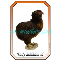Araukana slepice, cedulka drůbež kdákám