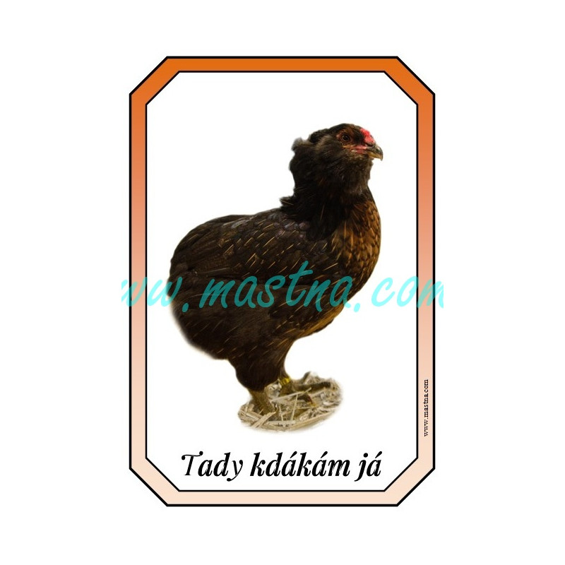 Araukana slepice, cedulka drůbež kdákám