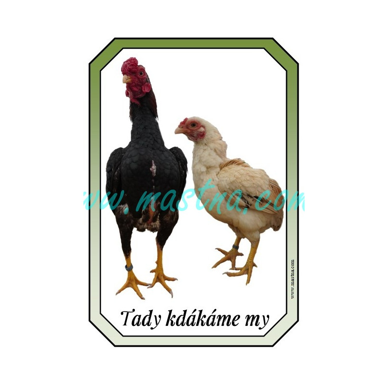 Bojovnice ko-šamo, cedulka drůbež kdákáme