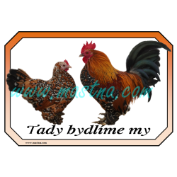 Drůbež zakrslá rousná porcelánová, cedulka drůbež bydlíme