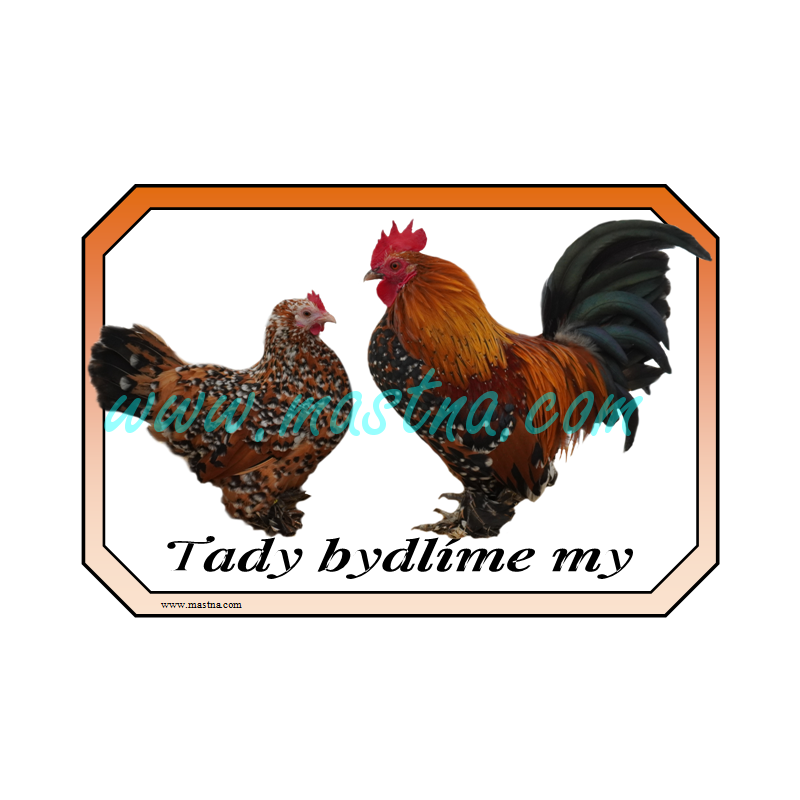 Drůbež zakrslá rousná porcelánová, cedulka drůbež bydlíme