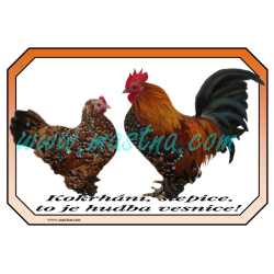 Drůbež zakrslá rousná porcelánová, cedulka drůbež vesnice