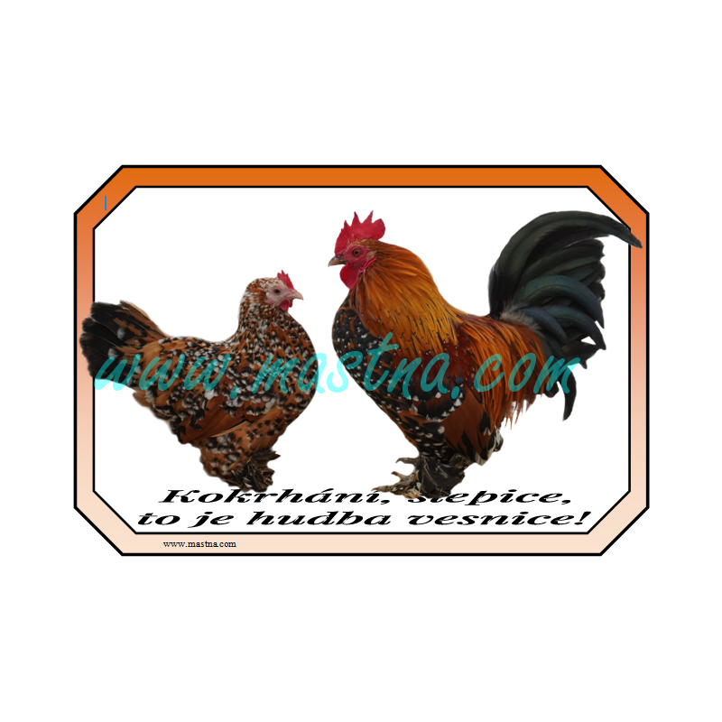 Drůbež zakrslá rousná porcelánová, cedulka drůbež vesnice
