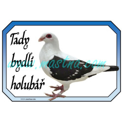 Holub česká bagdeta černý čápek, cedulka