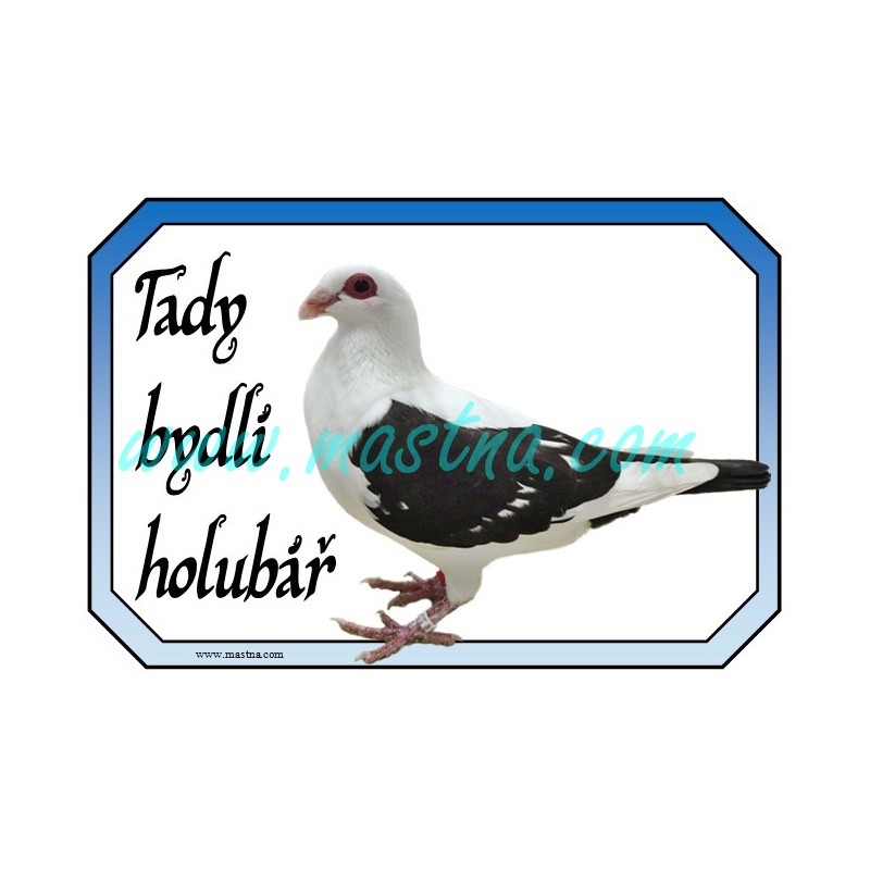 Holub česká bagdeta černý čápek, cedulka