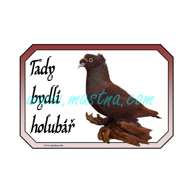Holub český bublák červený, cedulka