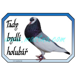 Holub český stavák modrý sedlatý, cedulka