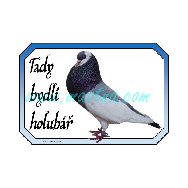 Holub český stavák modrý sedlatý, cedulka