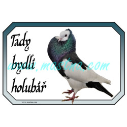 Holub moravský voláč, cedulka