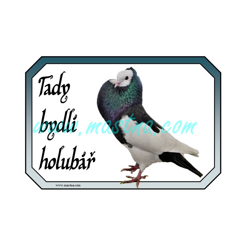Holub moravský voláč, cedulka