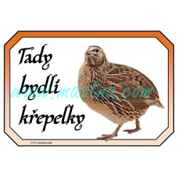 Křepelka cedulka, křepelky