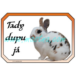 Králík zakrslý rex tříbarevný strakáč, cedulka