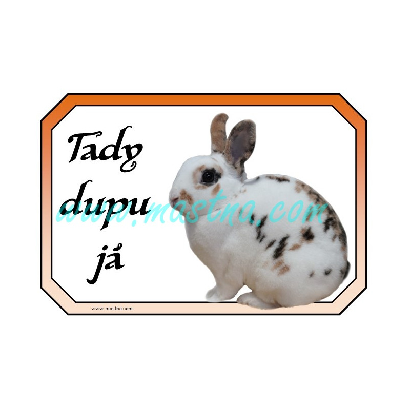 Králík zakrslý rex tříbarevný strakáč, cedulka