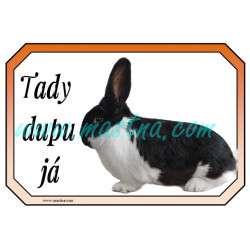 Králík meklenburský strakáč černý, cedulka