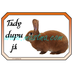 Králík rex oranžový, cedulka