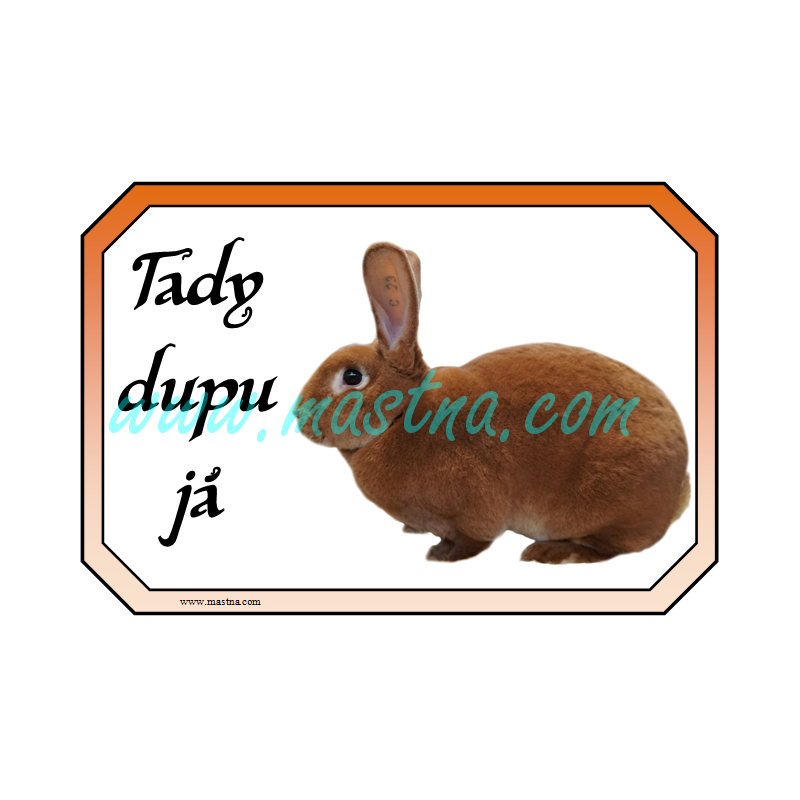 Králík rex oranžový, cedulka